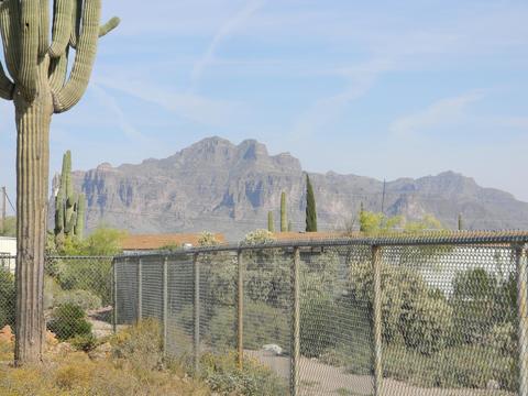 4661 N Meridian Rd, Apache Junction, AZ 85120 photo 27