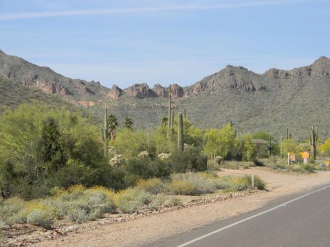 4661 N Meridian Rd, Apache Junction, AZ 85120 photo 29