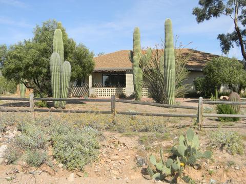 4661 N Meridian Rd, Apache Junction, AZ 85120 photo 16