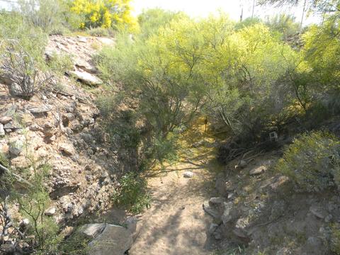 4661 N Meridian Rd, Apache Junction, AZ 85120 photo 32