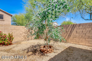 7262 E Norwood St, Mesa, AZ 85207 photo 17