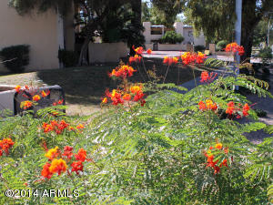 4201 E Camelback Rd #98, Phoenix, AZ 85018 photo 27