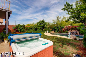 1910 E Williams Dr, Phoenix, AZ 85024 photo 47