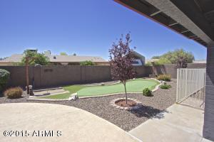 1339 E Gable Cir, Mesa, AZ 85204 photo 40