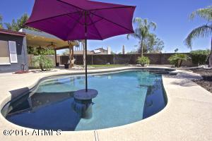 1339 E Gable Cir, Mesa, AZ 85204 photo 47