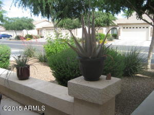 10960 E Monte Ave #174, Mesa, AZ 85209 photo 3