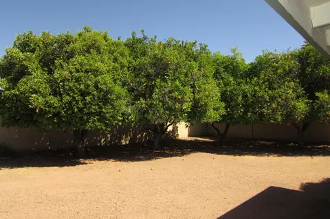 1528 E Gary St, Mesa, AZ 85203 photo 6
