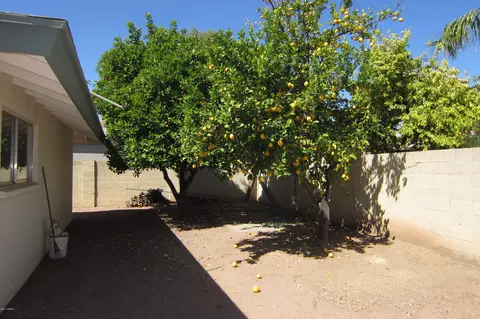 1528 E Gary St, Mesa, AZ 85203 photo 37