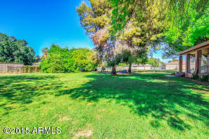 422 E Buffalo St, Gilbert, AZ 85295 photo 45