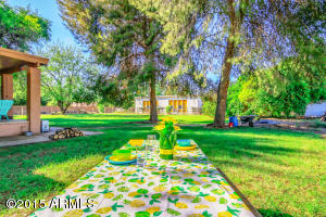 422 E Buffalo St, Gilbert, AZ 85295 photo 41