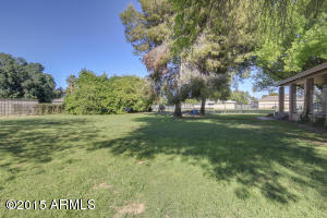 422 E Buffalo St, Gilbert, AZ 85295 photo 48