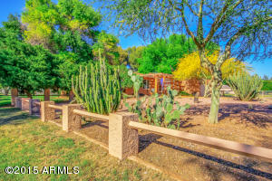 422 E Buffalo St, Gilbert, AZ 85295 photo 7