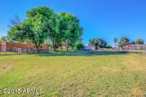 422 E Buffalo St, Gilbert, AZ 85295 photo 5