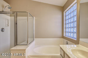 9256 E Monte Ave, Mesa, AZ 85209 photo 19