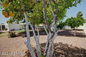 618 E Calavar Rd, Phoenix, AZ 85022 photo 13