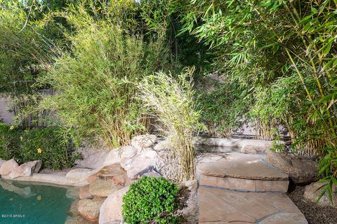 3165 E Desert Willow Rd, Phoenix, AZ 85048 photo 29