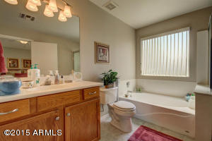 2805 E Terrace Ave, Gilbert, AZ 85234 photo 18