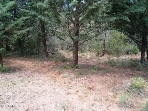 5540 W Solitude Trail Loop, Pine, AZ 85544 photo 15