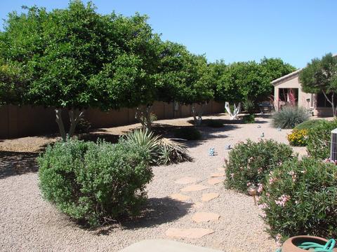 4202 E Broadway Rd #24, Mesa, AZ 85206 photo 18