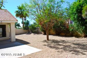 3906 E Mountain Vista Dr, Phoenix, AZ 85048 photo 14