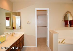 3906 E Mountain Vista Dr, Phoenix, AZ 85048 photo 17