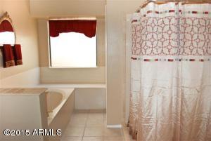 3906 E Mountain Vista Dr, Phoenix, AZ 85048 photo 18