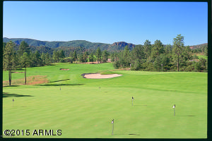 2600 Elk Run Ct, Payson, AZ 85541 photo 11