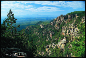 2600 Elk Run Ct, Payson, AZ 85541 photo 25