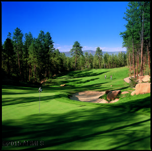2600 Elk Run Ct, Payson, AZ 85541 photo 14