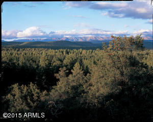 2600 Elk Run Ct, Payson, AZ 85541 photo 24