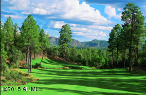 2600 Elk Run Ct, Payson, AZ 85541 photo 26