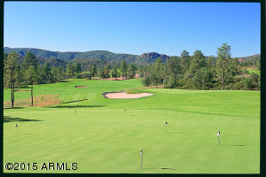 2600 Elk Run Ct, Payson, AZ 85541 photo 27