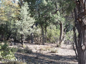 2600 Elk Run Ct, Payson, AZ 85541 photo 5