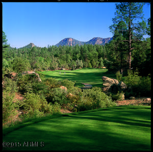 2600 Elk Run Ct, Payson, AZ 85541 photo 17