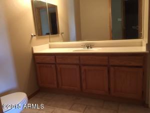 3541 E Downing Cir, Mesa, AZ 85213 photo 16