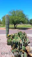 3929 E Monte Cristo Ave, Phoenix, AZ 85032 photo 13