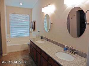 9610 E Nido Ave, Mesa, AZ 85209 photo 15
