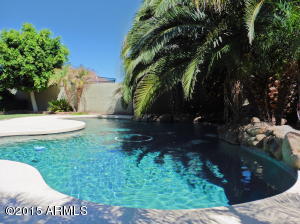 9610 E Nido Ave, Mesa, AZ 85209 photo 31