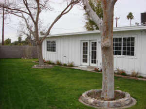 3115 E Turney Ave, Phoenix, AZ 85016 photo 11