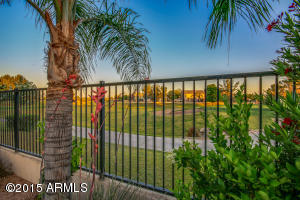 9357 E Mendoza Ave, Mesa, AZ 85209 photo 45