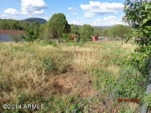 133 E Hilltop Rd, Young, AZ 85554 photo 44