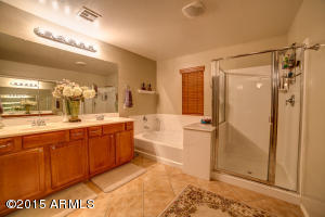 1291 E Strawberry Dr, Gilbert, AZ 85298 photo 17