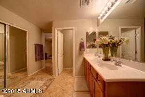 1291 E Strawberry Dr, Gilbert, AZ 85298 photo 16