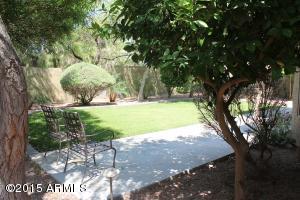 146 S Abalone Dr, Gilbert, AZ 85233 photo 32