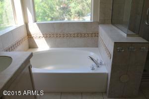 146 S Abalone Dr, Gilbert, AZ 85233 photo 27
