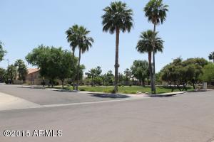 146 S Abalone Dr, Gilbert, AZ 85233 photo 37