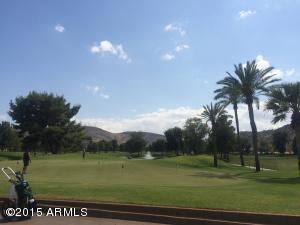 409 E Forest Hills Dr, Phoenix, AZ 85022 photo 41