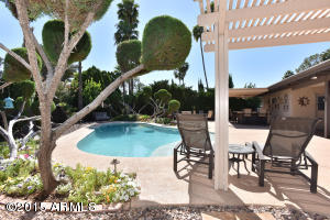 409 E Forest Hills Dr, Phoenix, AZ 85022 photo 34