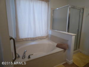 11217 E Adobe Rd, Mesa, AZ 85207 photo 22