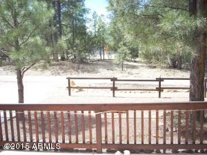 3349 Pine Cone Dr, Overgaard, AZ 85933 photo 22
